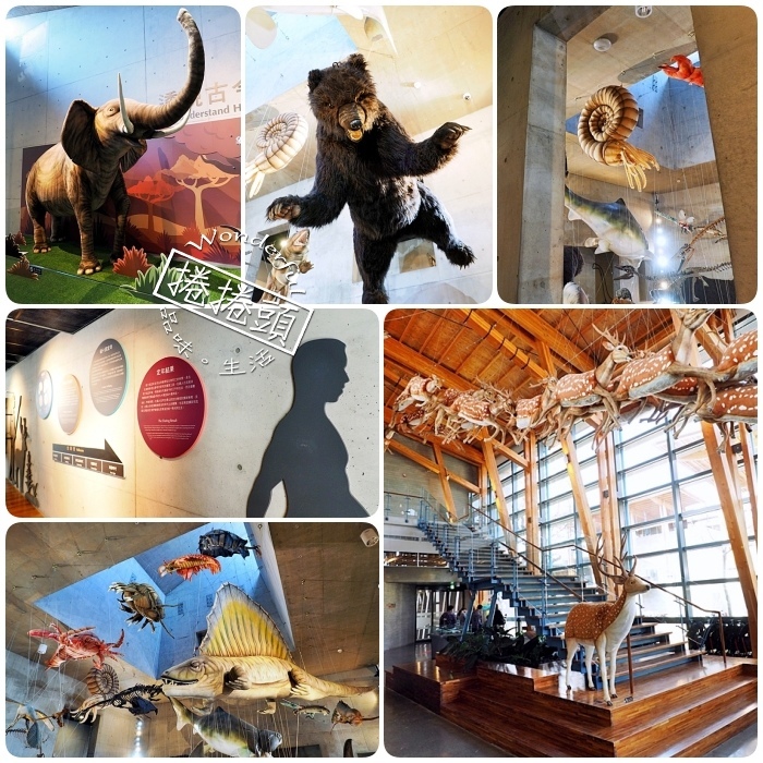 南台灣必逛10間博物館⎪夢幻紙繪森林隧道、看最美的兩個屁屁、極速煙囪溜滑梯、巨大海藻森林、實境遊戲博物館驚魂夜。特色博物館一次搞定! @捲捲頭 Wonderful 品味。生活