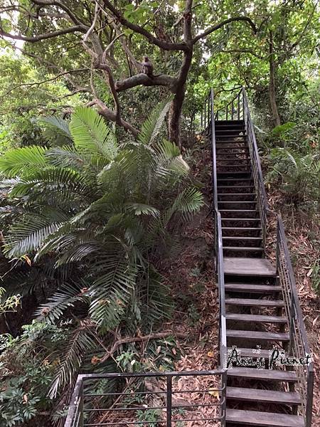 2020103龍過脈_201006_13 2020103龍過脈_201006_13