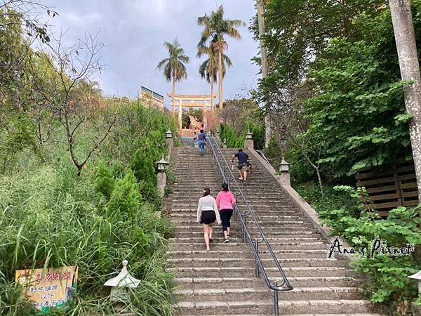 2020106_201006_79 2020106_201006_79