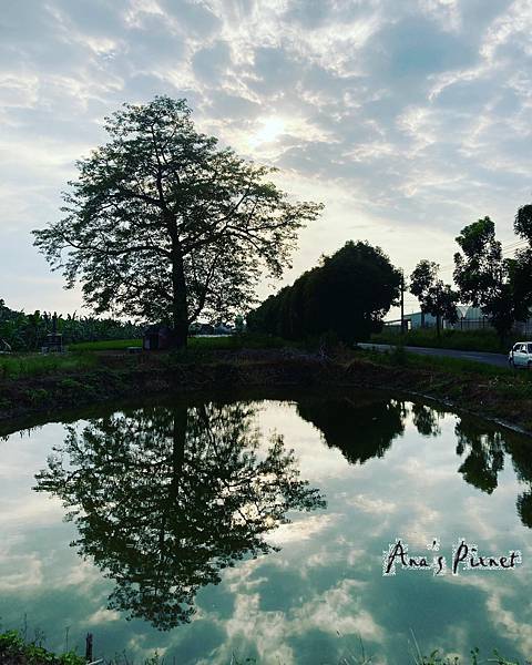 2020103龍過脈_201006_40 2020103龍過脈_201006_40