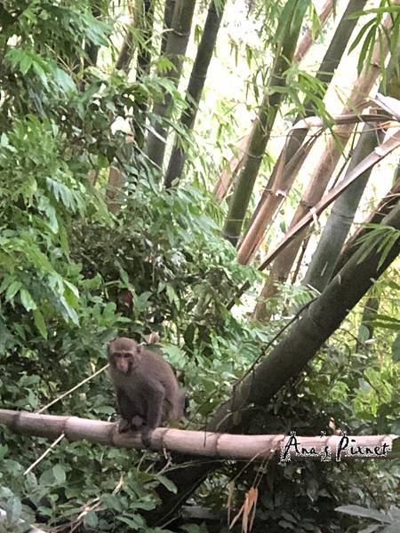 2020103龍過脈_201006_7 2020103龍過脈_201006_7