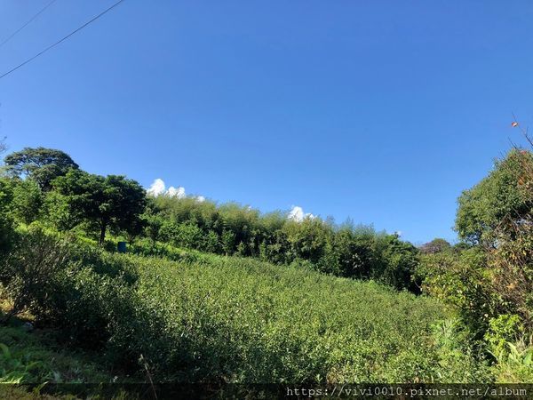茶山步道_201005_3.jpg
