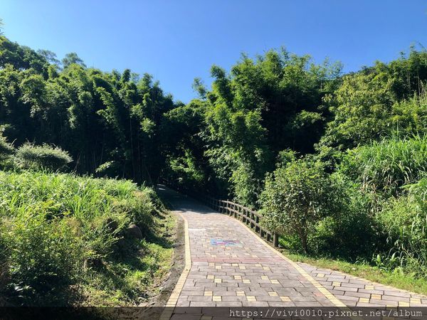 茶山步道_201005_12.jpg