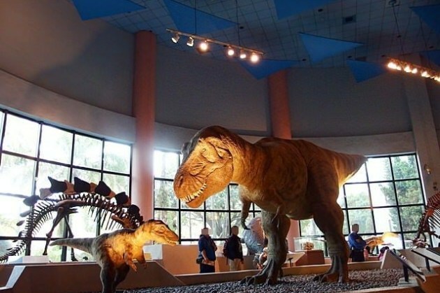 石饕低卡餐盒坊。走進2D漫畫世界吃便當,自助機點餐還可LINE PAY付款,台中鐵板低卡便當推薦 - 🍎 蘋果話日常🍎