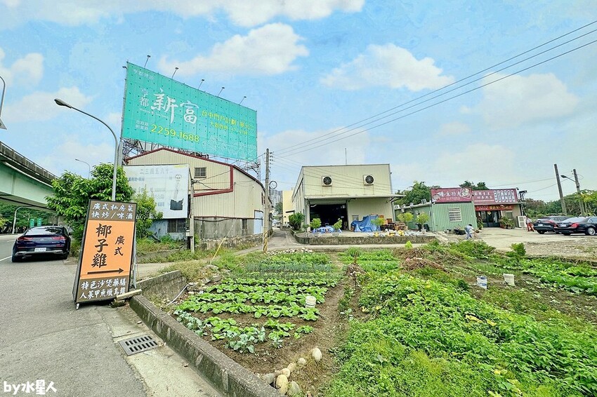 廣式養生功夫雞 椰子雞火鍋
