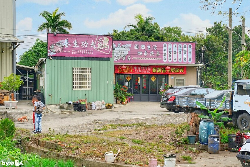 廣式養生功夫雞 椰子雞火鍋