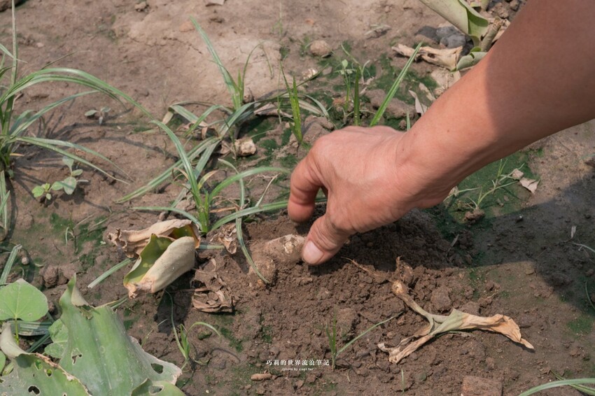 台中高鐵附近超強椰子雞湯，湯頭清甜溫潤香氣滿分！全是廣東媽媽的手路菜