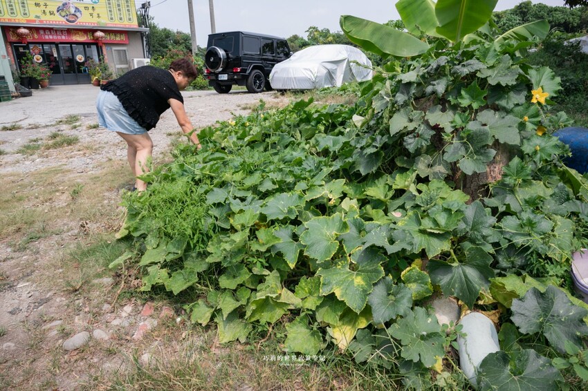 台中高鐵附近超強椰子雞湯，湯頭清甜溫潤香氣滿分！全是廣東媽媽的手路菜