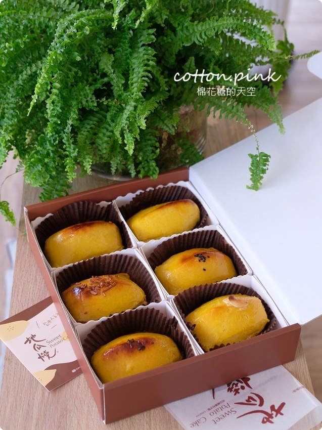 台中老店變身網美早午餐，向陽房最新厚茶生吐司必吃～陽光食事所文青風吐司盤百元有找！