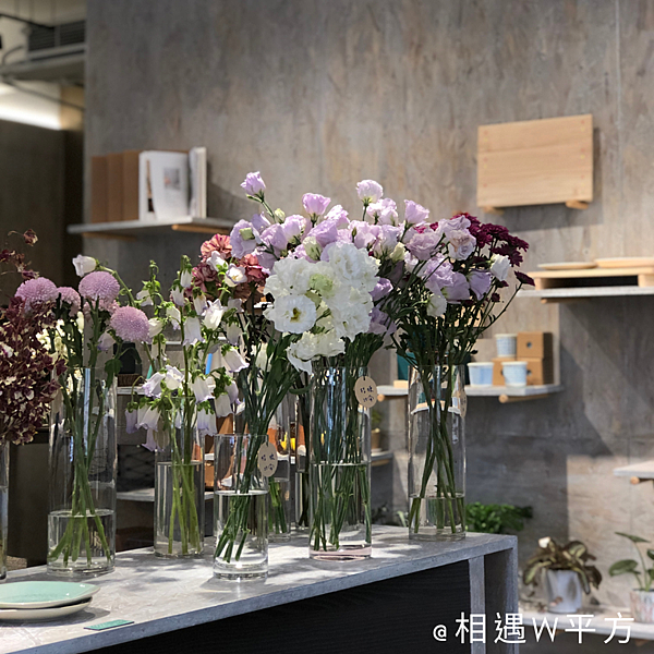 厝內與咖啡與綠 (6)