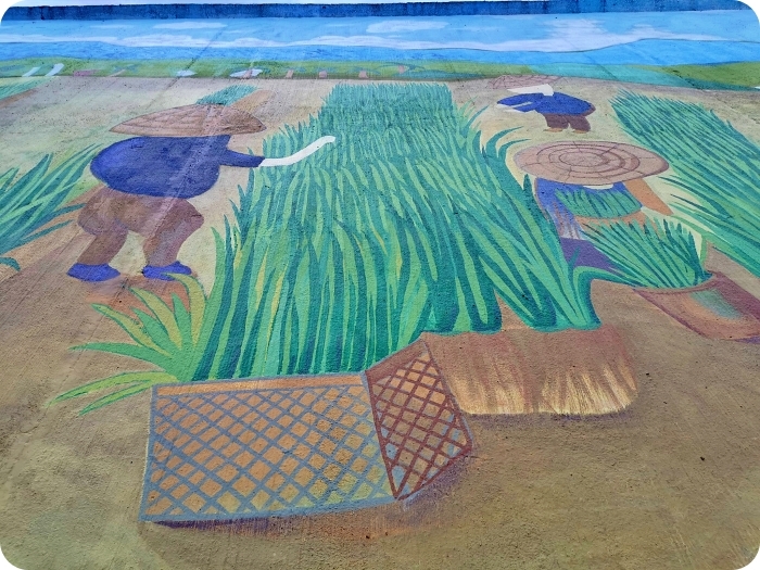 三星彩繪堤防⎪超大稻草人、彩繪階梯，立體小火車開到你眼前，堤防大變身，一起來同框拍照吧！ @捲捲頭 Wonderful 品味。生活