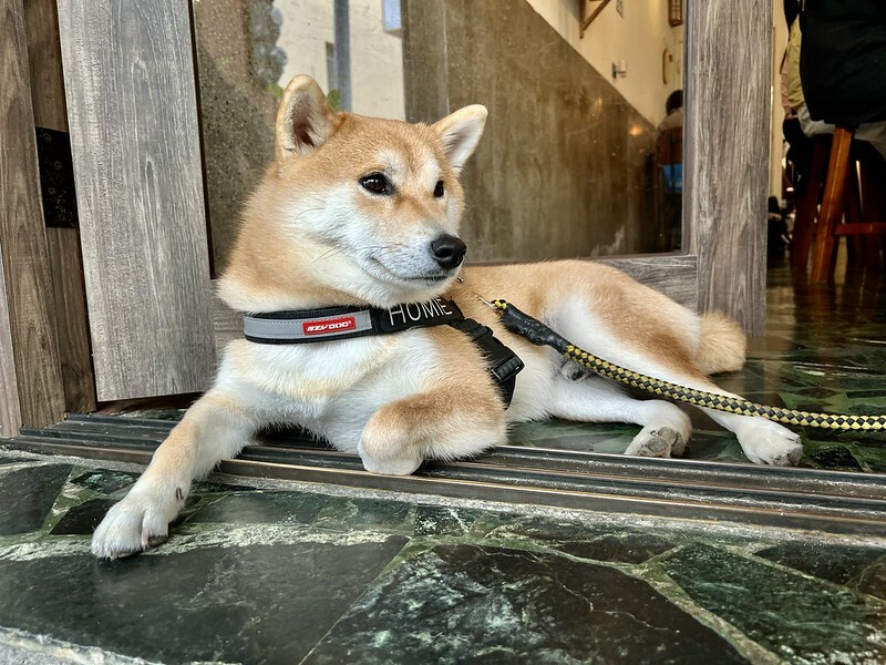 【台灣，高雄市，左營區】日和珈琲 GoodVibe Coffee，巷弄間的日式Ｘ懷舊Ｘ老屋咖啡聽。（高