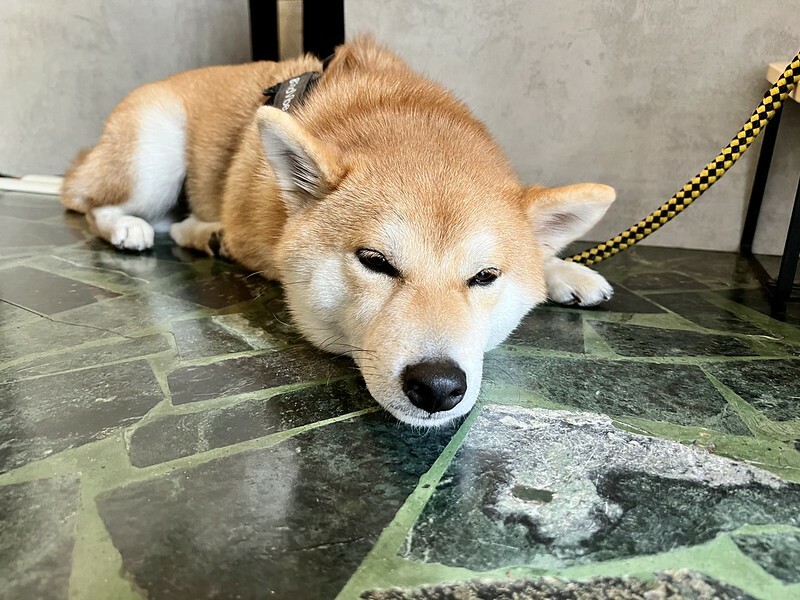 【台灣，高雄市，左營區】日和珈琲 GoodVibe Coffee，巷弄間的日式Ｘ懷舊Ｘ老屋咖啡聽。（高