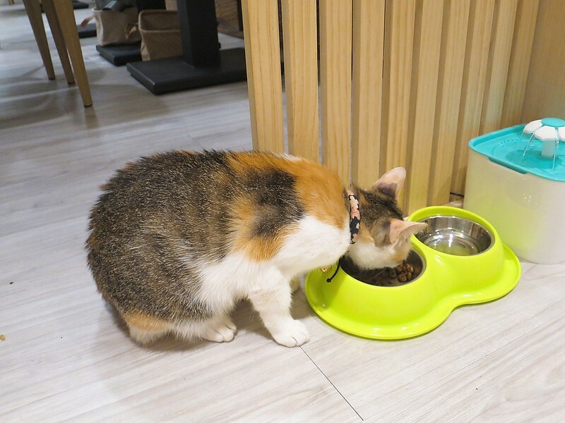 2020-12-10-15-51-44-817