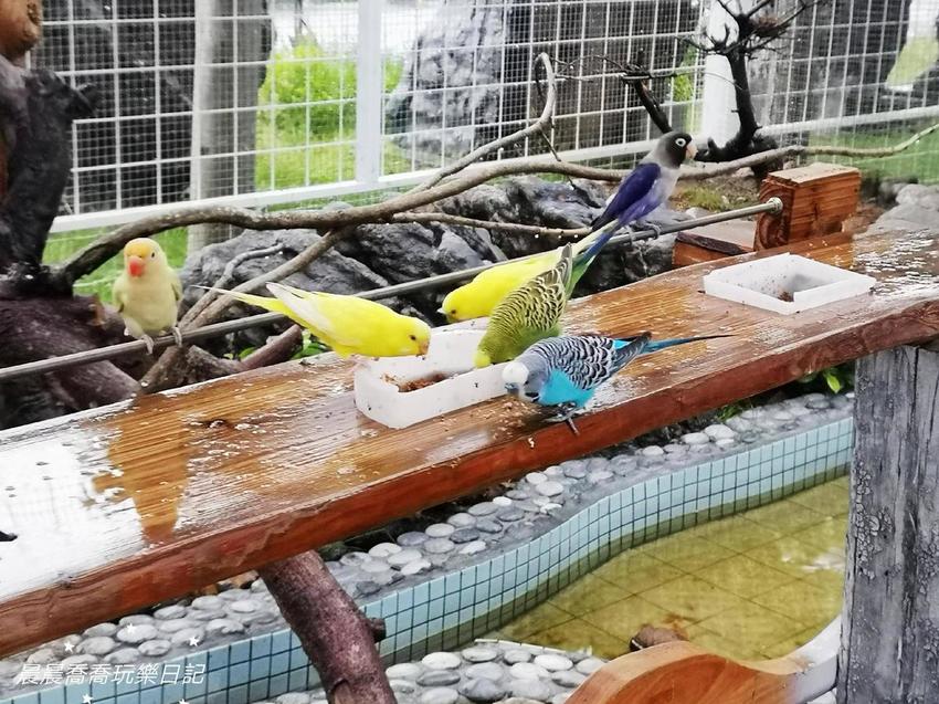 宜蘭景點綺麗歡樂嘉年華