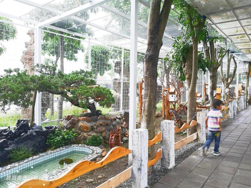 宜蘭景點綺麗歡樂嘉年華