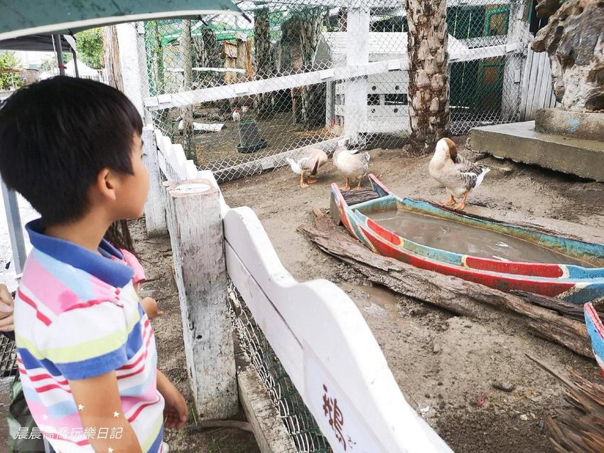 宜蘭景點綺麗歡樂嘉年華