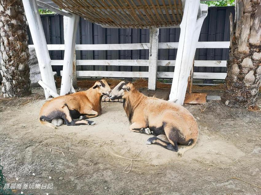 宜蘭景點綺麗歡樂嘉年華