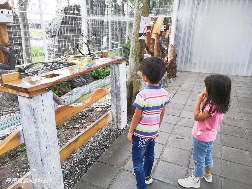 宜蘭景點綺麗歡樂嘉年華