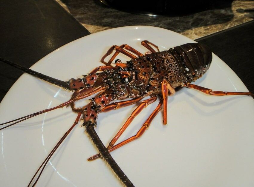 【美食】「舞之椒麻辣鴛鴦鍋 林口店」林口長庚麻辣火鍋推薦、麻