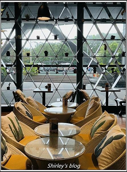 環狀線新北產業園區站 ‧  D'or Cafe 兜咖啡(森林