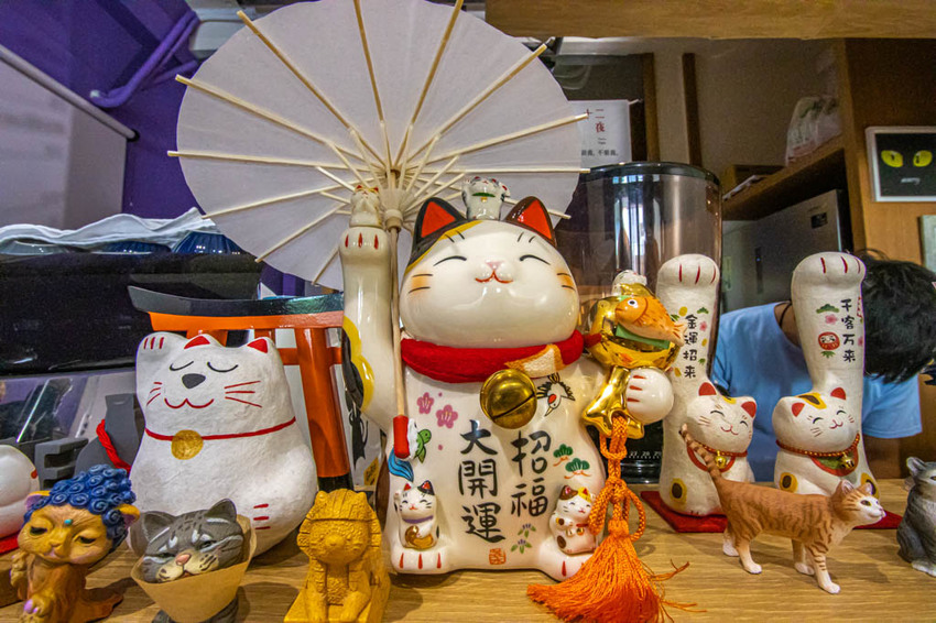 台中西區，Come Late Cafe~喜歡他的朋友....就請你1星評價刷起來。 - 微笑Joe幸運