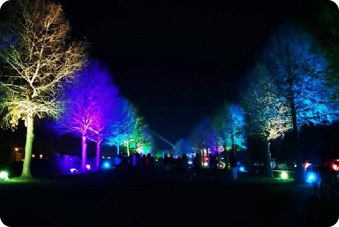 秋冬季節限定⎪落羽松秘境X台灣欒樹綠色夢幻隧道一次看!粉紅色小燈籠、夢幻金黃大道,週末浪漫拍照去! @捲捲頭 Wonderful 品味。生活