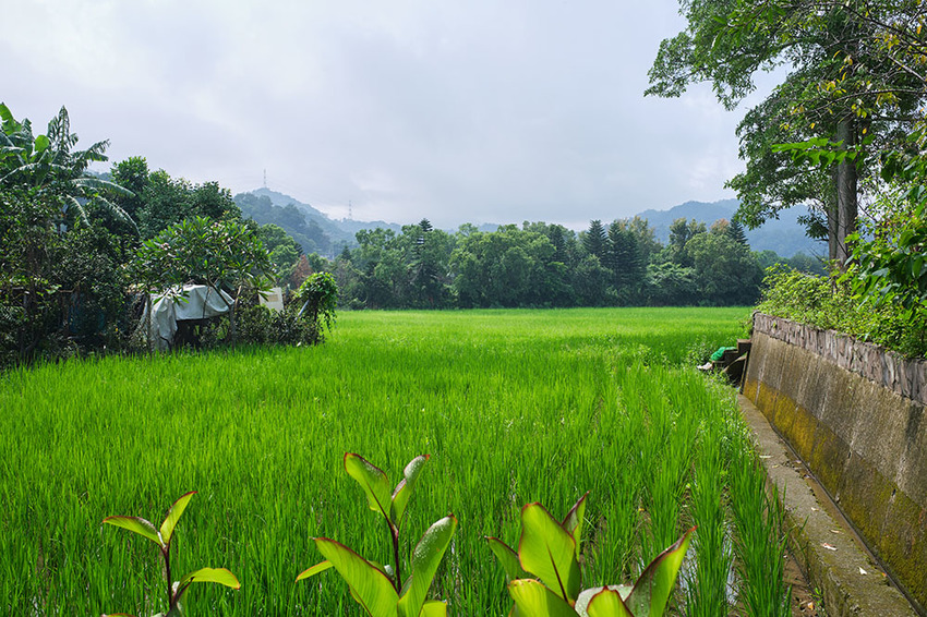 新竹民宿|大坪數、兒童遊戲區、挑高小閣樓和手工早餐,藏在北埔田野的歐風小屋|歐佳家民宿 - 食攝人生事務所