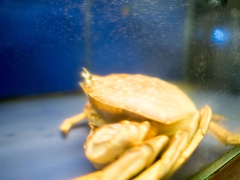 【台北行天宮站】川之流-民生店,中山火鍋推薦、中山區聚餐推薦