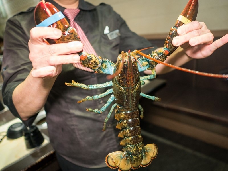 【台北行天宮站】川之流-民生店,中山火鍋推薦、中山區聚餐推薦