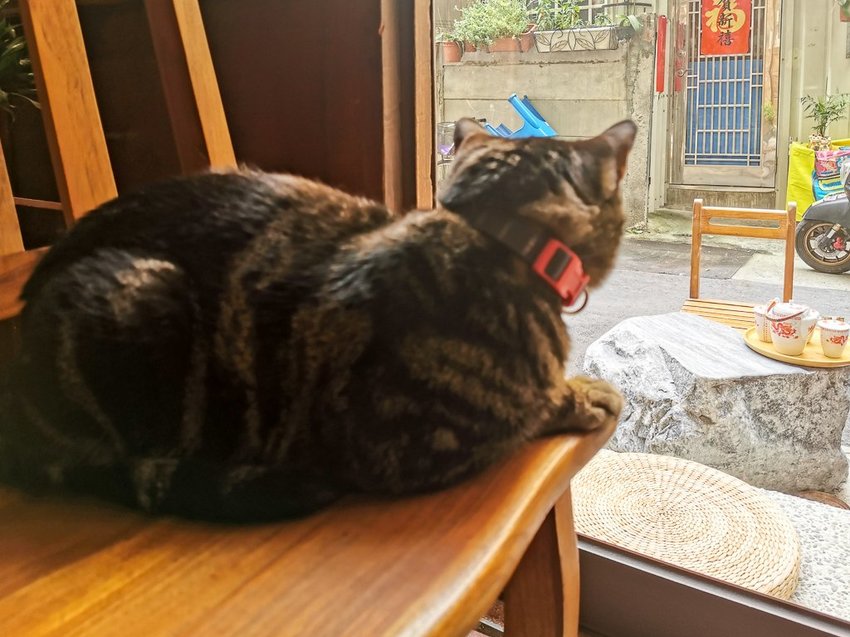 Stable Fly 穩定飛行模式