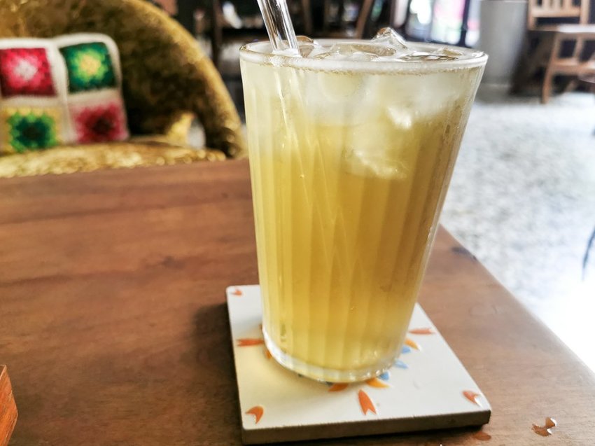 Stable Fly 穩定飛行模式