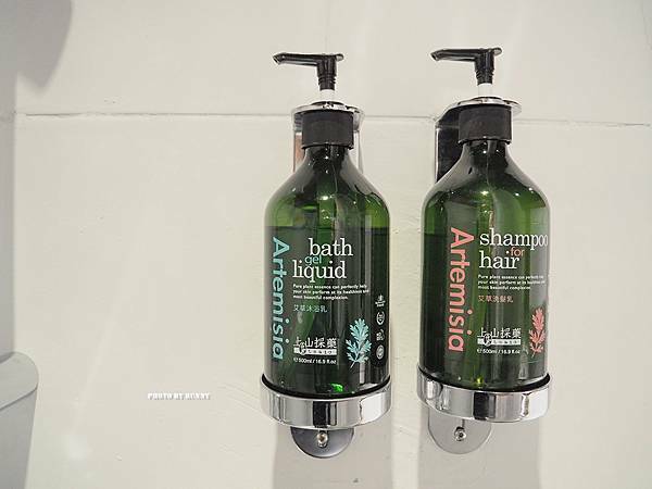 PA200169_調整大小