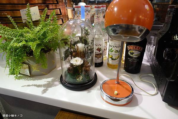 DSC09313.JPG DSC09313.JPG