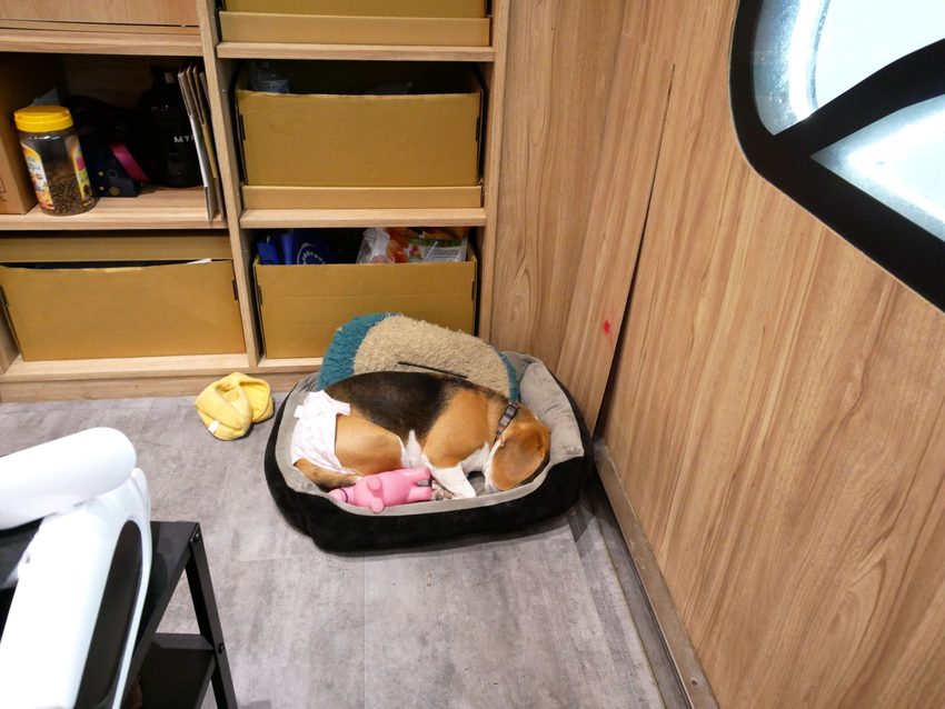 【台中東區美食】阿蓮米粉湯,台中後火車站60年老店,改走文青風古早味麵店!內文附詳細菜單價位介紹。 @熊寶小榆の旅遊日記