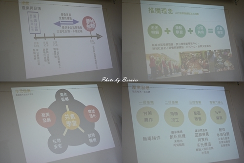 1017 1-新城風糖30.jpg