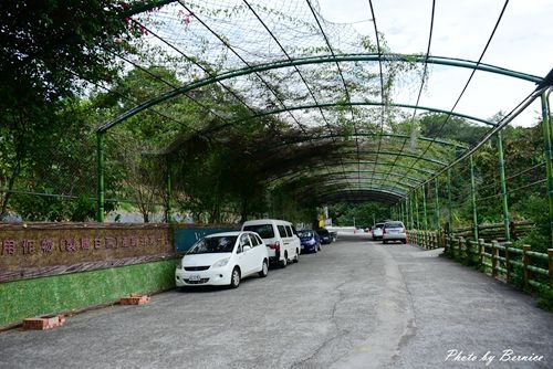 1017 1-新城風糖11.jpg