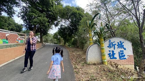 1017 1-新城風糖19.jpg