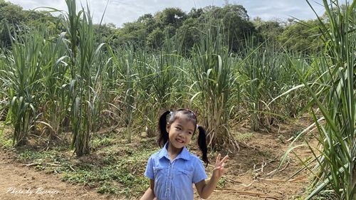 1017 1-新城風糖21.jpg