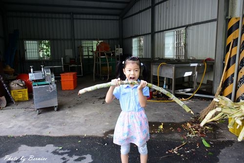 1017 1-新城風糖16.jpg