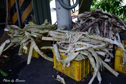 1017 1-新城風糖13.jpg