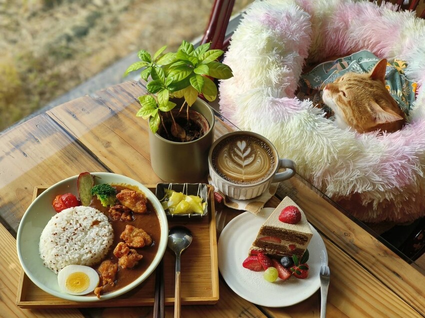 28045.jpg - 【新竹.竹北】有田咖啡廳。寵物友善+咖啡+咖哩飯+簡餐+平日不限時