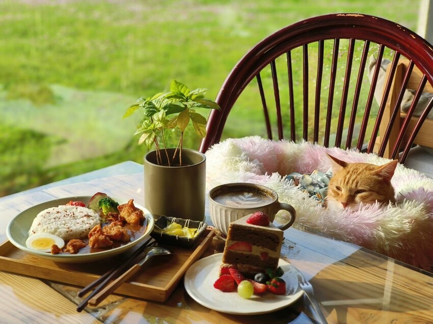 28039.jpg - 【新竹.竹北】有田咖啡廳。寵物友善+咖啡+咖哩飯+簡餐+平日不限時