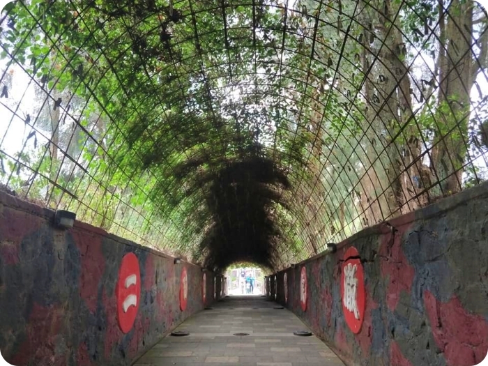 ▋金門景點 ▋金門懶人包、交通&機票&住宿、必拍景點&必吃美食，金門伴手禮推薦！ @捲捲頭 Wonderful 品味。生活