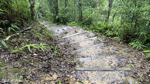 1010 2-魚蕨步道03.jpg