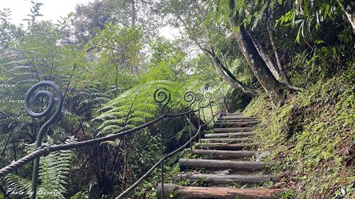 1010 2-魚蕨步道07.jpg