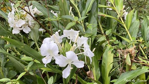 1010 1-坪林一日遊05.jpg