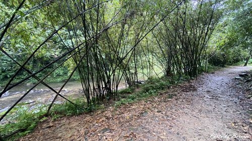 1010 2-魚蕨步道13.jpg