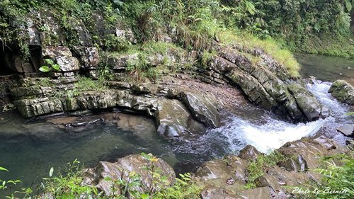 1010 1-坪林一日遊12.jpg