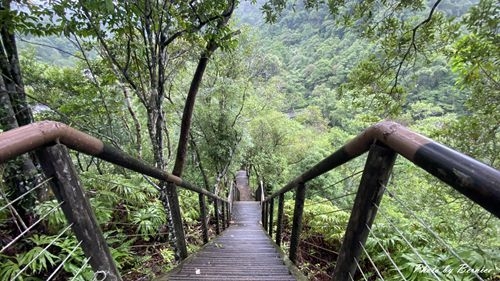 1010 2-魚蕨步道08.jpg